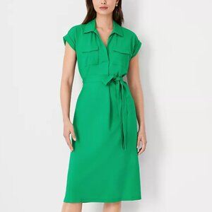 Ann Taylor Petite Cap Sleeve Pocket Shirtdress - Clover, XSP